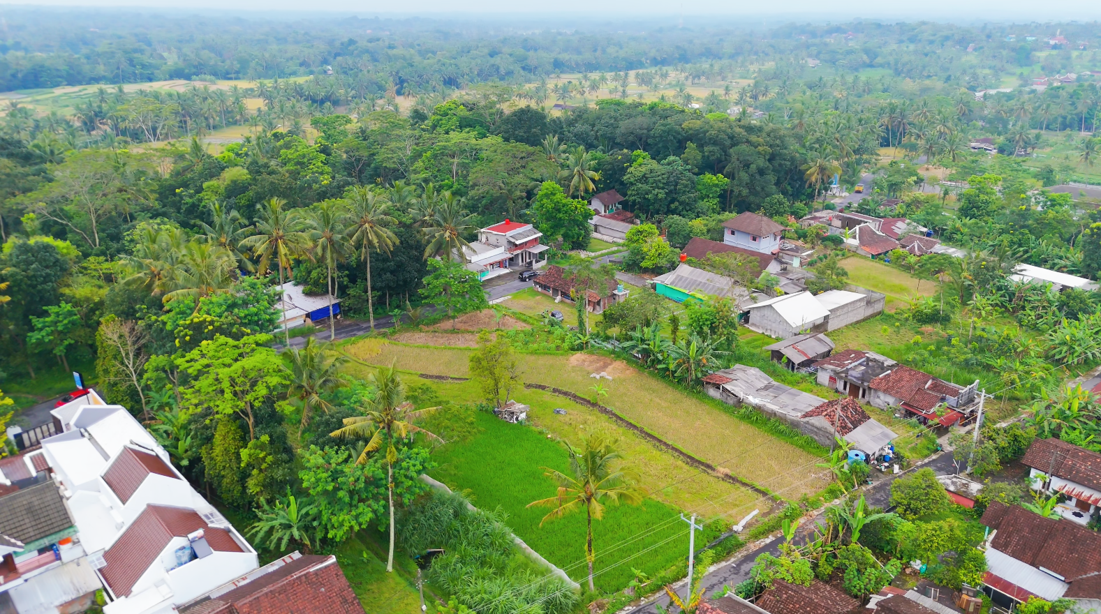 Lingkungan Asri